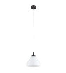 Single pendant lamps - Argon VENTURA 8777 E27 (light source not included) / 230V glass, brushed lacquered steel - product 5