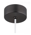 Single pendant lamps - Argon VENTURA 8777 E27 (light source not included) / 230V glass, brushed lacquered steel - product 6