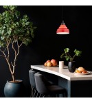 Single pendant lamps - Argon VENTURA 8776 E27 (light source not included) / 230V glass, brushed lacquered steel - product 4