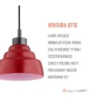 Single pendant lamps - Argon VENTURA 8776 E27 (light source not included) / 230V glass, brushed lacquered steel - product 9