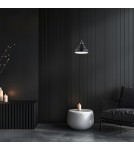 Single pendant lamps - Argon VENTURA 8775 E27 (light source not included) / 230V glass, brushed lacquered steel - product 4
