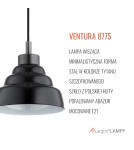 Single pendant lamps - Argon VENTURA 8775 E27 (light source not included) / 230V glass, brushed lacquered steel - product 7
