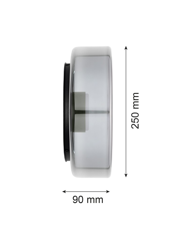 Argon TAMPA 8833  GX53 (żarówka o mocy 8W stanowi element gratisowy - na wyposażeniu) / 230V 2700K szkło, stal lakierowana