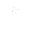 Accessories - Nowodvorski BALLERINA Accessories White 11800 - product 2