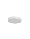 Azzardo PANDINO 30 CCT SWITCH SENSOR IP44 WH Ceiling Ceiling Matte White Variable Light Colour Sensor AZ6589