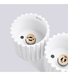 Ceiling lamps - Sollux Plafond AURA 2 white GU10 SL.1780 - product 5