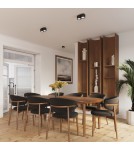 Ceiling lamps - Sollux Plafond AURA 2 black Gx53 SL.1788 - product 10