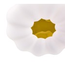 Light Prestige Plafon Ariva 26 cm biały LED 4000K LP-8321/1C-26 WH