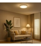 Milagro Plafon LAGO 36W LED Ø480 ML1841