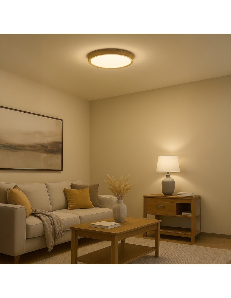 Milagro Plafon ORINOKO 36W LED Ø480 ML1840