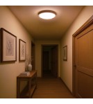 Milagro Plafon ORINOKO 36W LED Ø480 ML1840