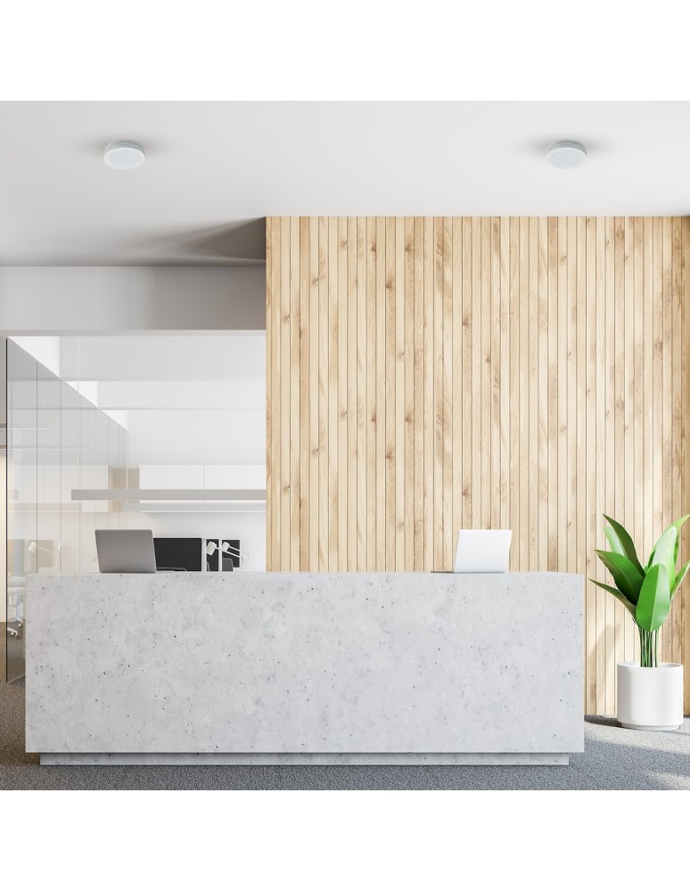 Eko-Light Plafon Marlon 12W 4000K Biały IP54 EKP2303