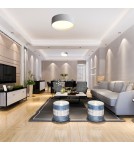 LED ceiling lamps - Abigali LED Plafon Round 390*110mm 20W 3000K - product 2