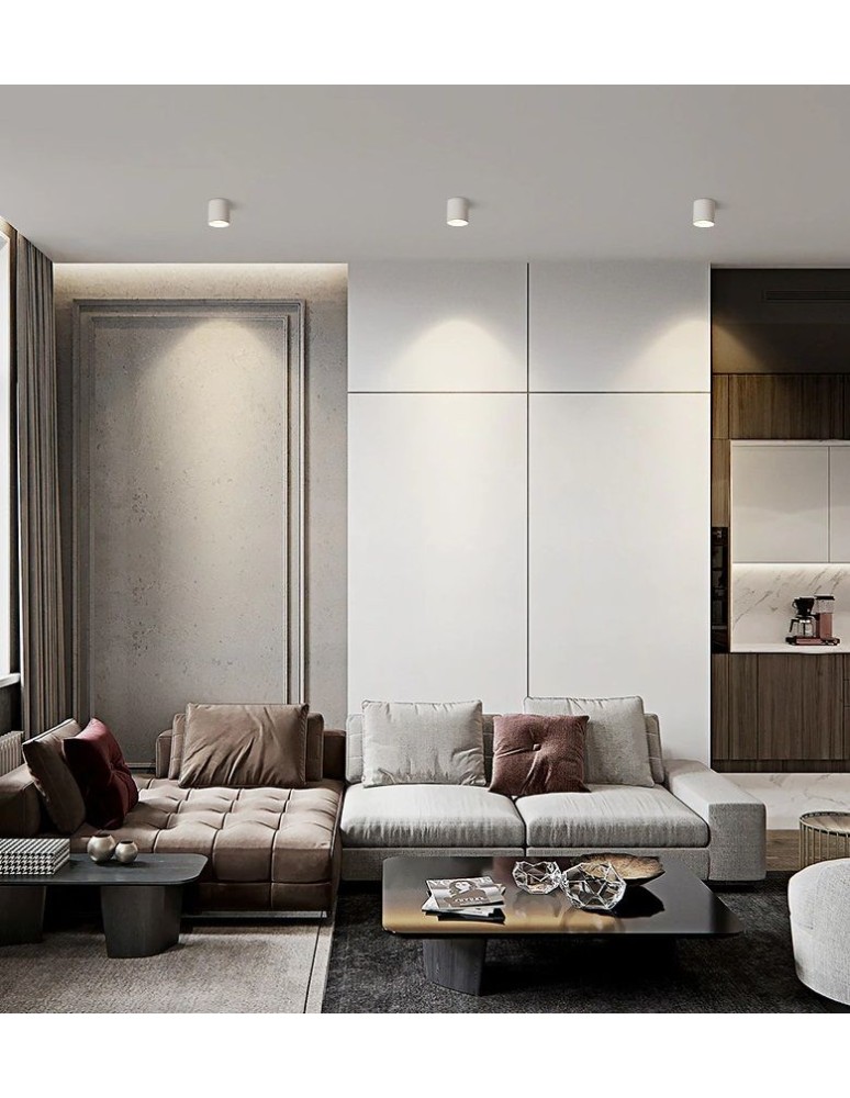 Ceiling downlights - tubes - Abigali Spot Vaiolett 10W NW White ceiling luminaire - product kolory-swiatla.pl 2