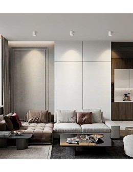 Abigali Oprawa nastropowa Spot Vaiolett 10W NW Biały - produkt 2