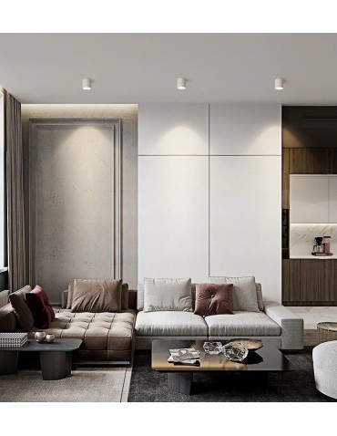 Abigali Spot Vaiolett 15W NW White ceiling luminaire - product 2