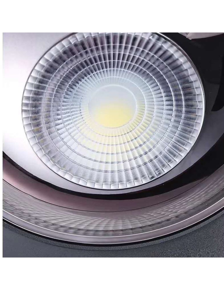 Ceiling downlights - tubes - Abigali Spot Vaiolett 15W NW Ceiling Luminaire Black - product kolory-swiatla.pl 4