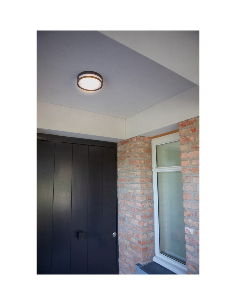 Outdoor wall lamps - Lutec ROLA LED ceiling grey 6382201118 - product kolory-swiatla.pl 6