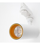 Lamps for 3-phase busbars - Abigali 3-phase rail luminaire CRI90+ 24° 12W WW white matt + gold ring - product 2