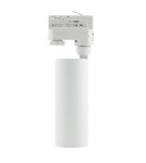 Lamps for 3-phase busbars - Abigali 3-phase rail luminaire CRI90+ 24° 12W WW white matt + gold ring - product 3