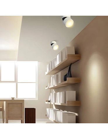 Abigali surface-mounted luminaire CRI90+ 20° 12W WW - product 2