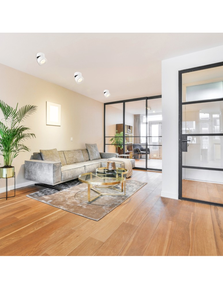 Abigali Oprawa natynkowa CRI90+ 20° 12W WW