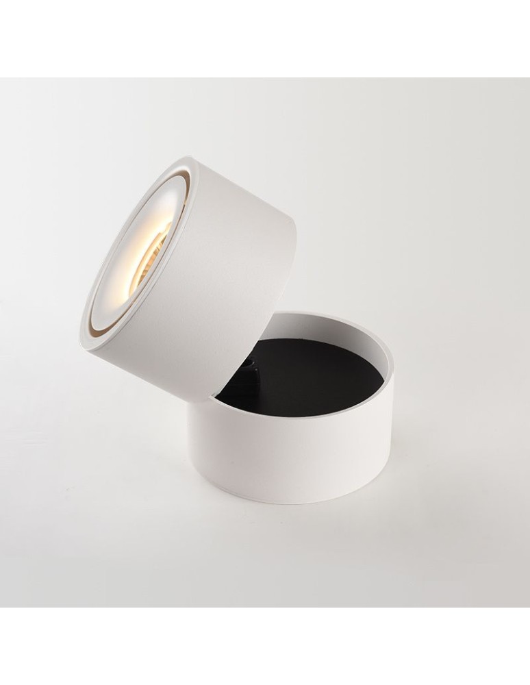 Abigali Oprawa natynkowa CRI90+ 20° 12W WW