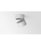Product categories - Abigali surface-mounted luminaire CRI90+ 20° 12W WW - product 8