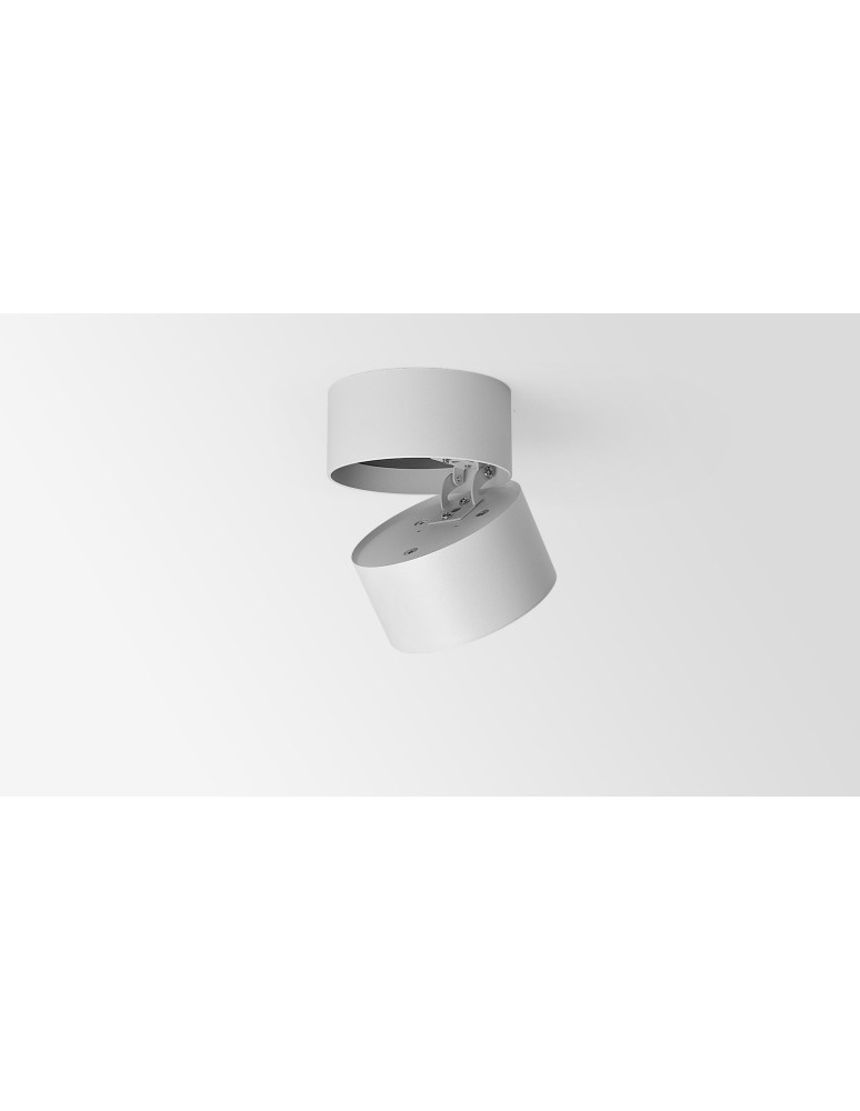 Product categories - Abigali surface-mounted luminaire CRI90+ 20° 12W WW - product kolory-swiatla.pl 8