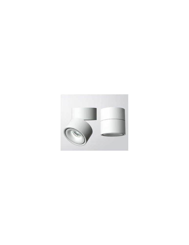 Product categories - Abigali surface-mounted luminaire CRI90+ 20° 12W WW - product kolory-swiatla.pl 10