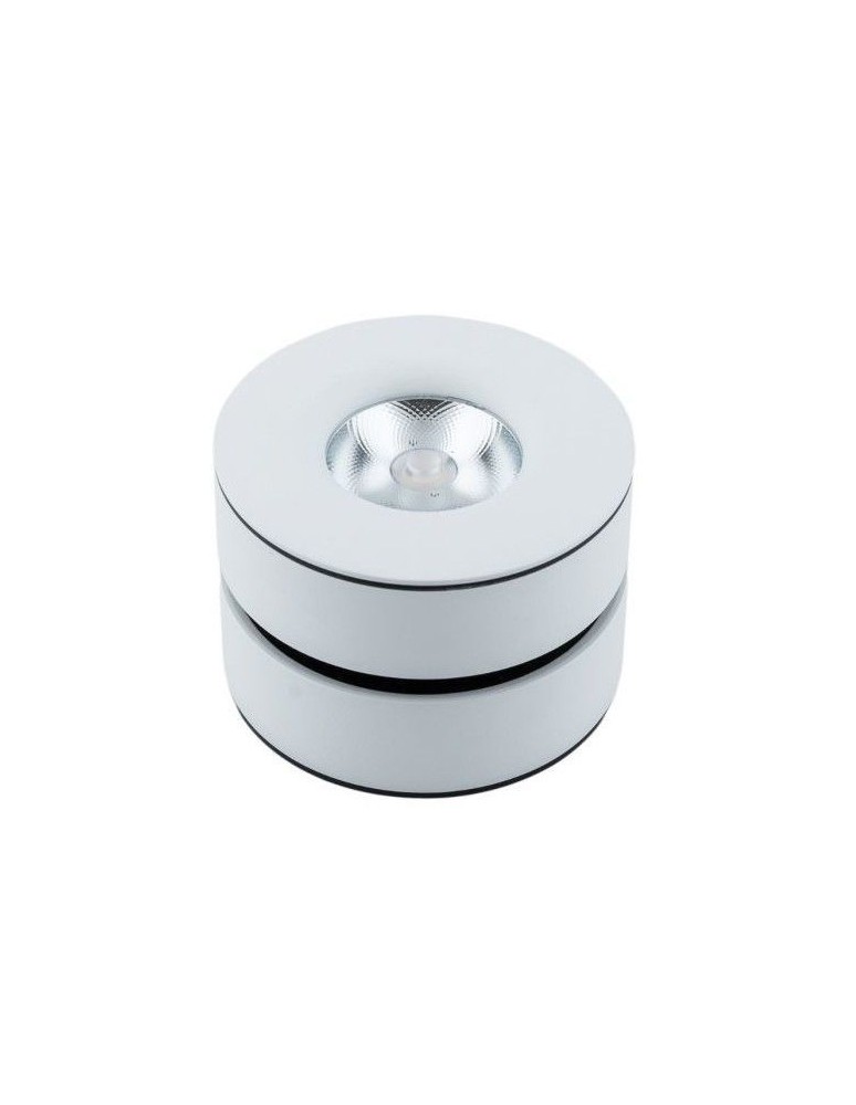 Spotlight ceiling lamps - Abigali Ceiling luminaire 12W 24° 3000K CRI+90 - product kolory-swiatla.pl 3