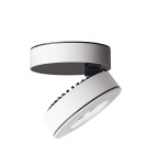 Spotlight ceiling lamps - Abigali Ceiling luminaire 12W 24° 3000K CRI+90 - product 4