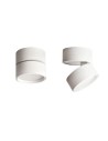 Abigali Surface-mounted luminaire 18W CRI90+ 120° White WW