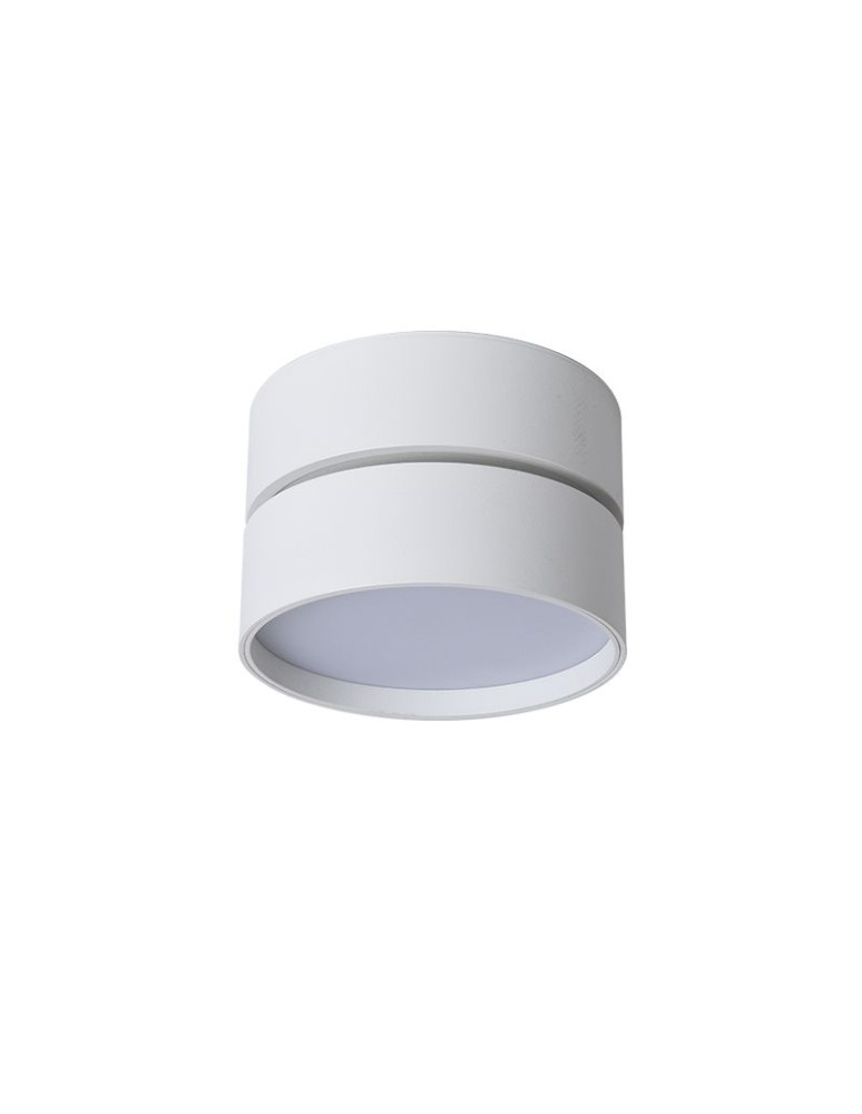 Product categories - Abigali Surface-mounted luminaire 18W CRI90+ 120° White WW - product kolory-swiatla.pl 5