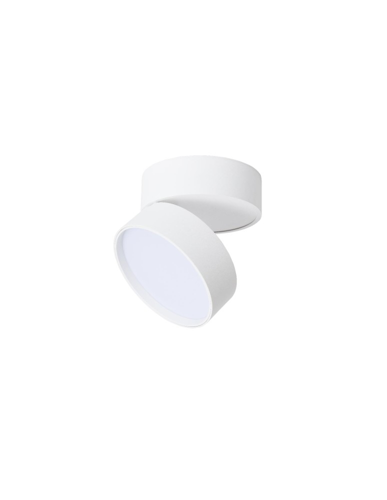 Product categories - Abigali Surface-mounted luminaire 18W CRI90+ 120° White WW - product kolory-swiatla.pl 7