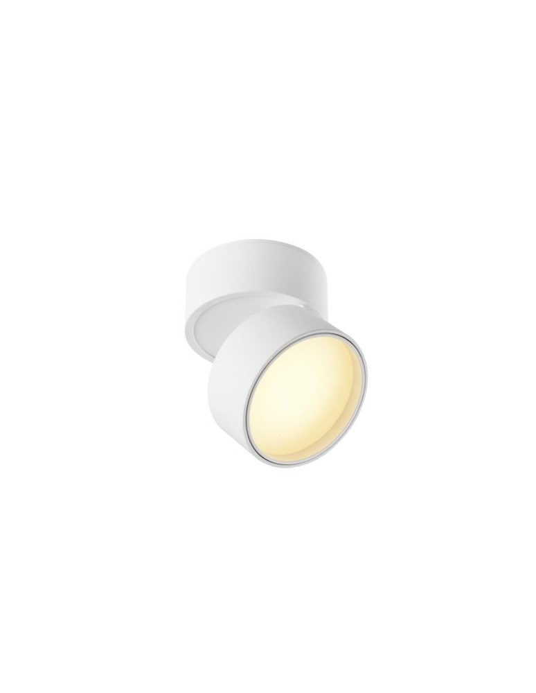 Product categories - Abigali Surface-mounted luminaire 18W CRI90+ 120° White WW - product kolory-swiatla.pl 8
