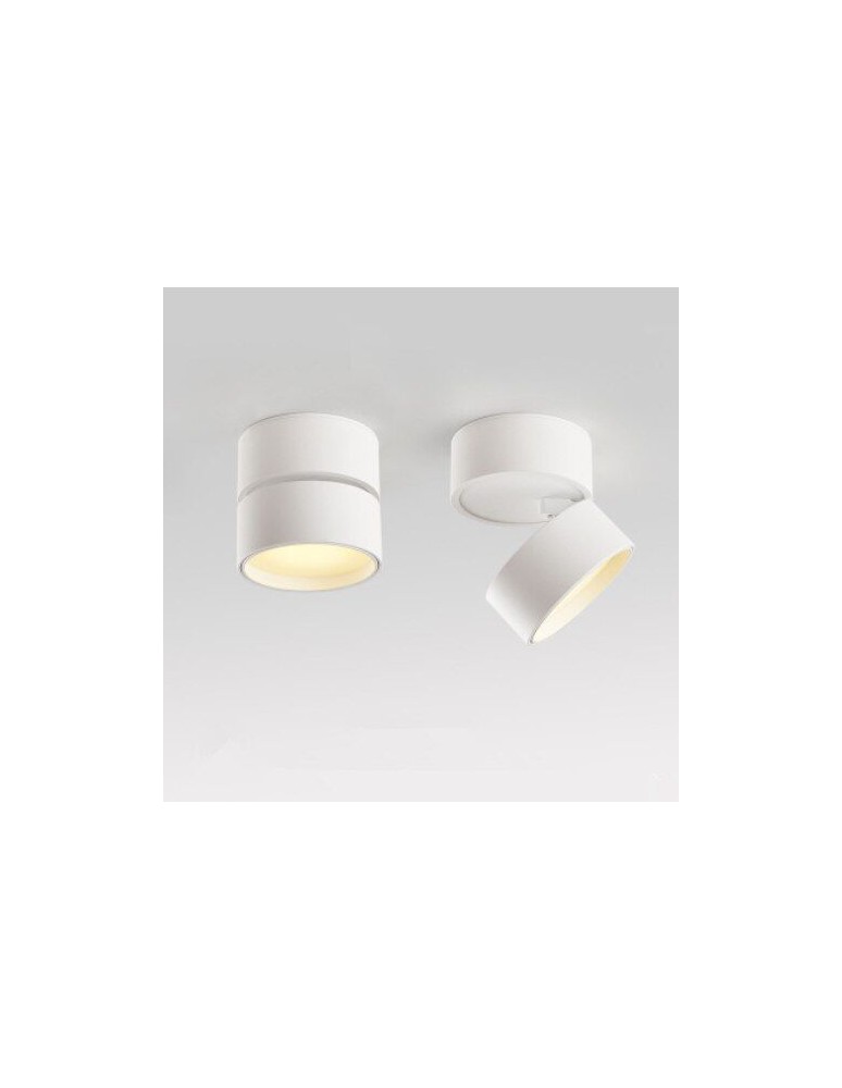 Product categories - Abigali Surface-mounted luminaire 18W CRI90+ 120° White WW - product kolory-swiatla.pl 10