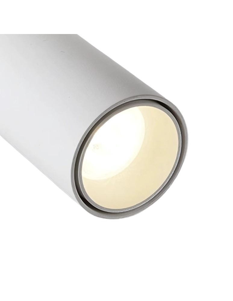 Spotlight ceiling lamps - Abigali 12W 3000K CRI90+ 24st White Dimmable Ceiling Luminaire - product kolory-swiatla.pl 4