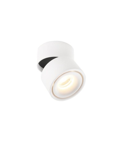 Abigali surface-mounted luminaire CRI90+ 20° 12W WW dimmable
