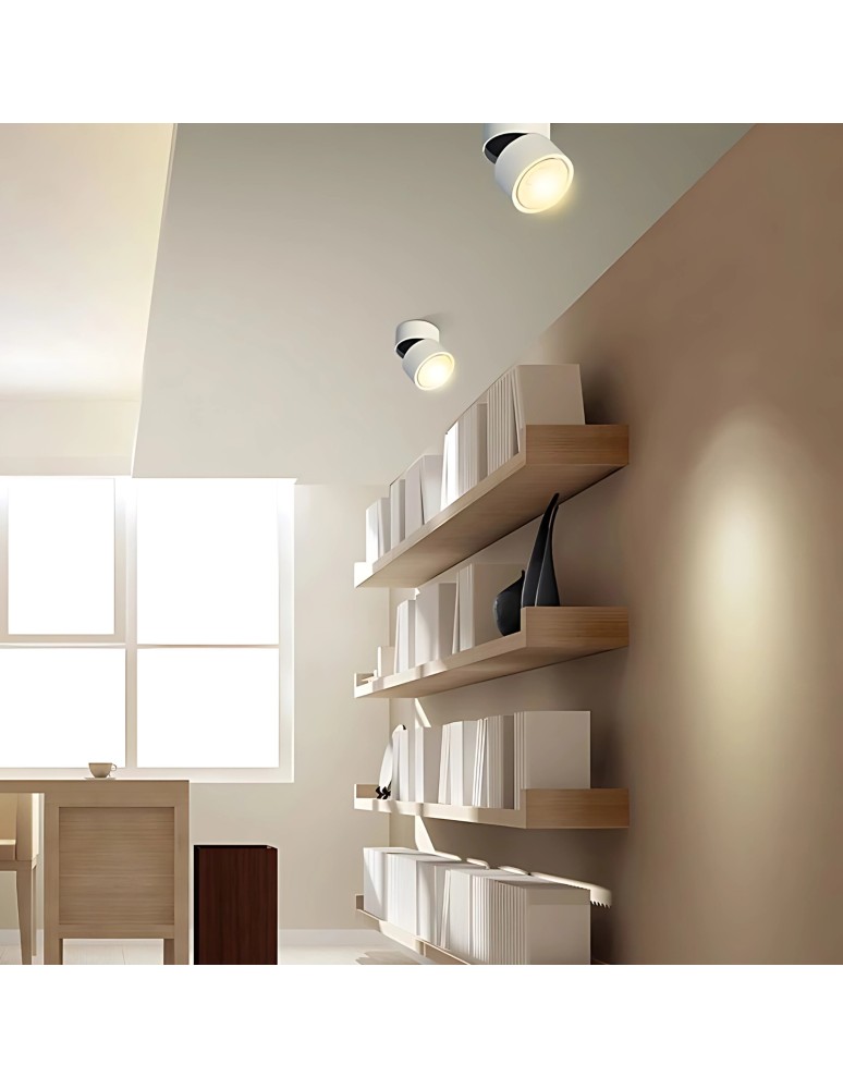 Product categories - Abigali surface-mounted luminaire CRI90+ 20° 12W WW dimmable - product kolory-swiatla.pl 3