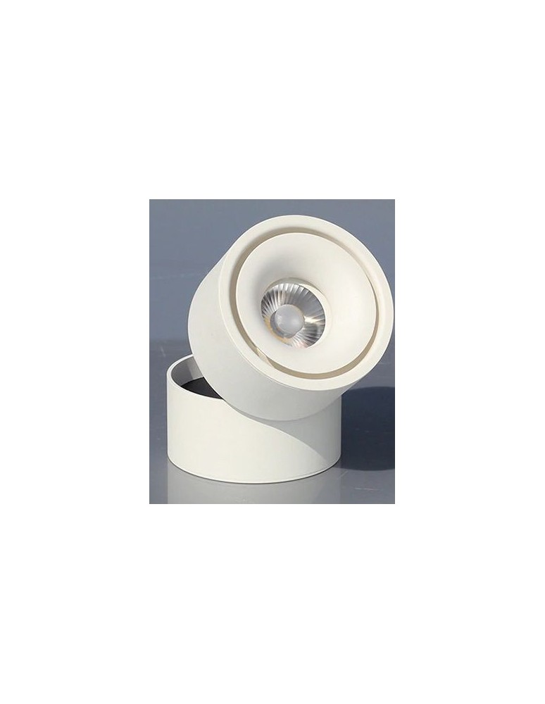 Abigali Oprawa natynkowa CRI90+ 20° 12W WW ściemnialna