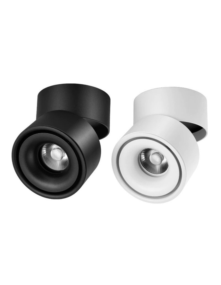 Abigali Oprawa natynkowa CRI90+ 20° 12W WW ściemnialna