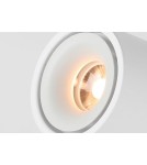 Abigali Oprawa natynkowa CRI90+ 20° 12W WW ściemnialna