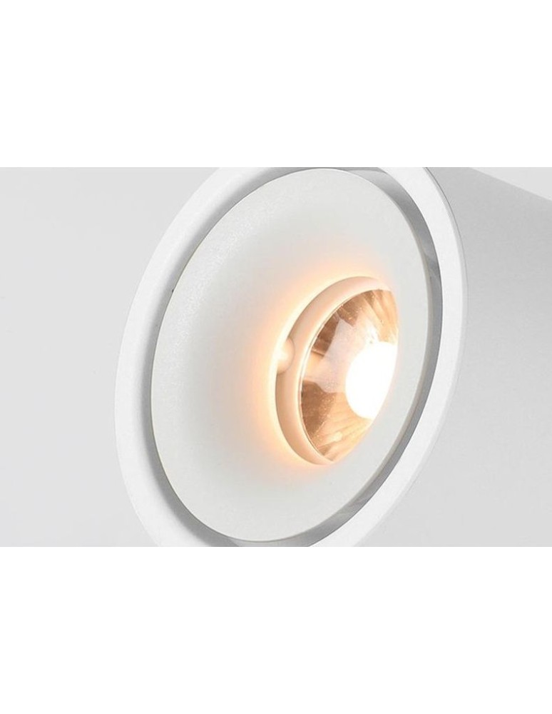 Product categories - Abigali surface-mounted luminaire CRI90+ 20° 12W WW dimmable - product kolory-swiatla.pl 7