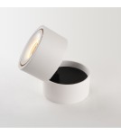 Product categories - Abigali surface-mounted luminaire CRI90+ 20° 12W WW dimmable - product 8