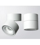 Abigali Oprawa natynkowa CRI90+ 20° 12W WW ściemnialna