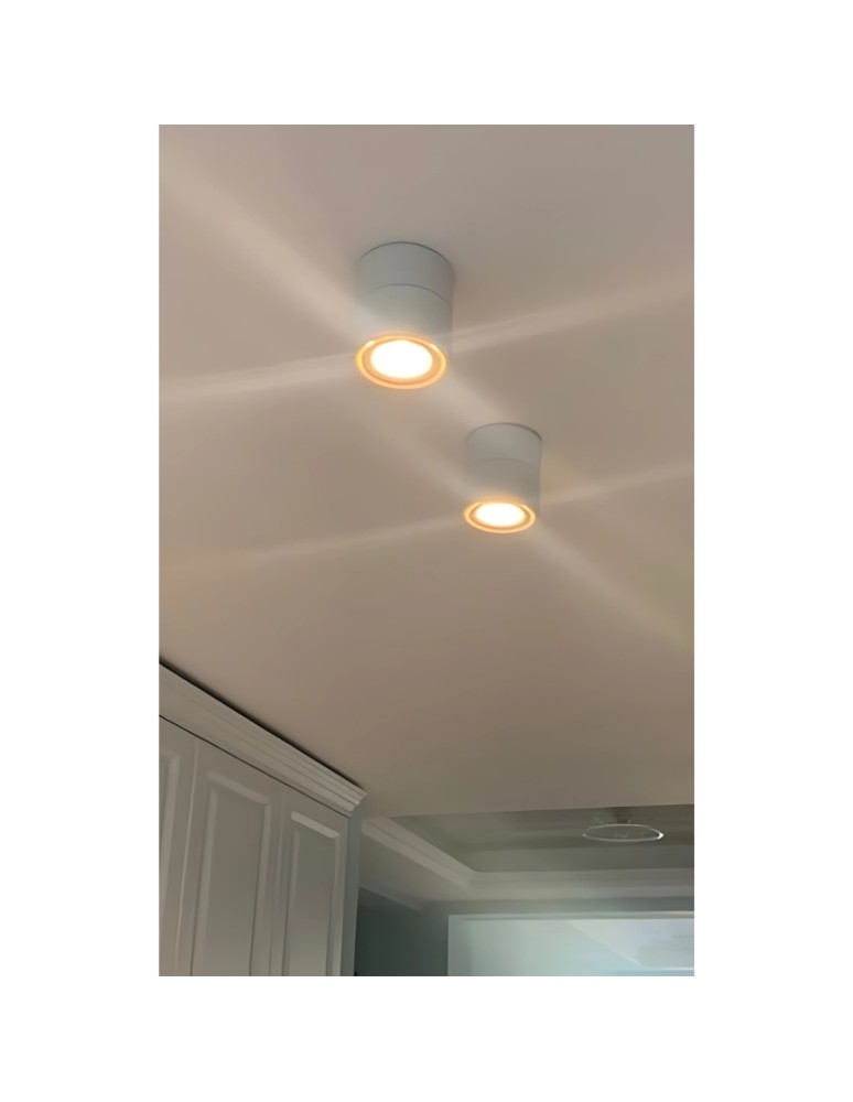 Product categories - Abigali surface-mounted luminaire CRI90+ 20° 12W WW dimmable - product kolory-swiatla.pl 12