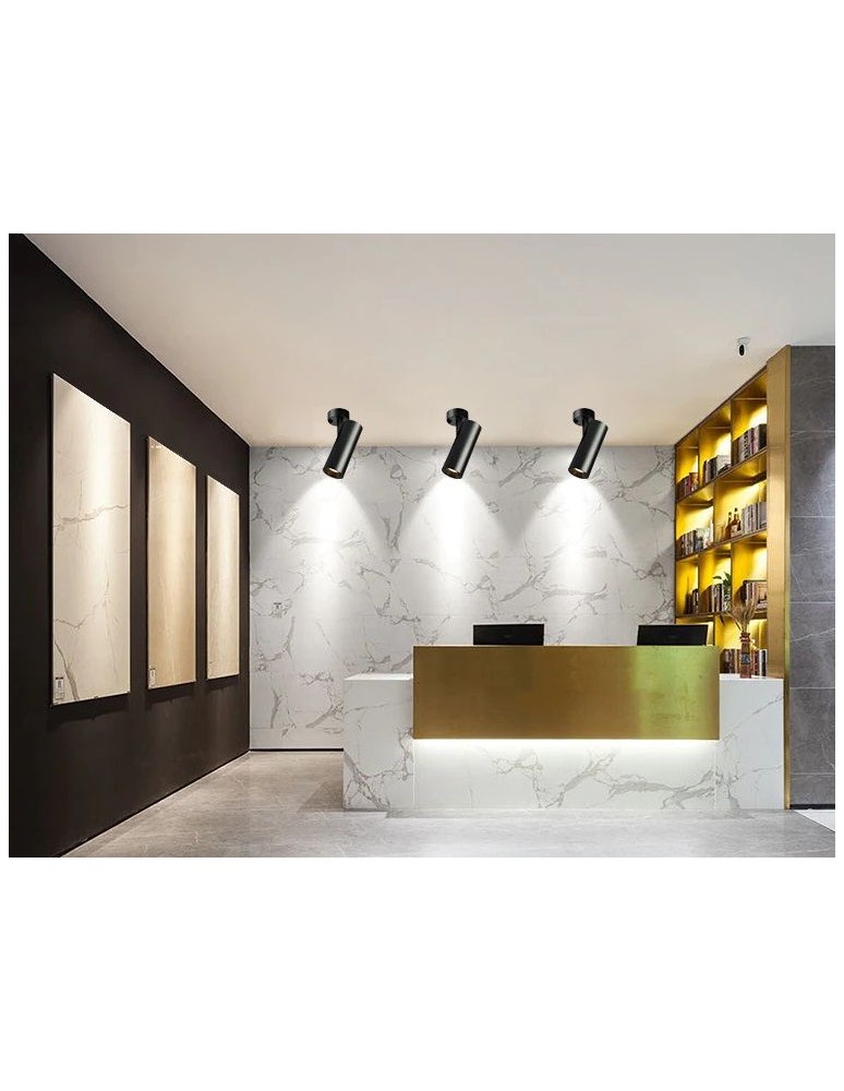 Spotlight ceiling lamps - Abigali 12W 3000K CRI90+ 24st Black Dimmable Ceiling Luminaire - product kolory-swiatla.pl 10