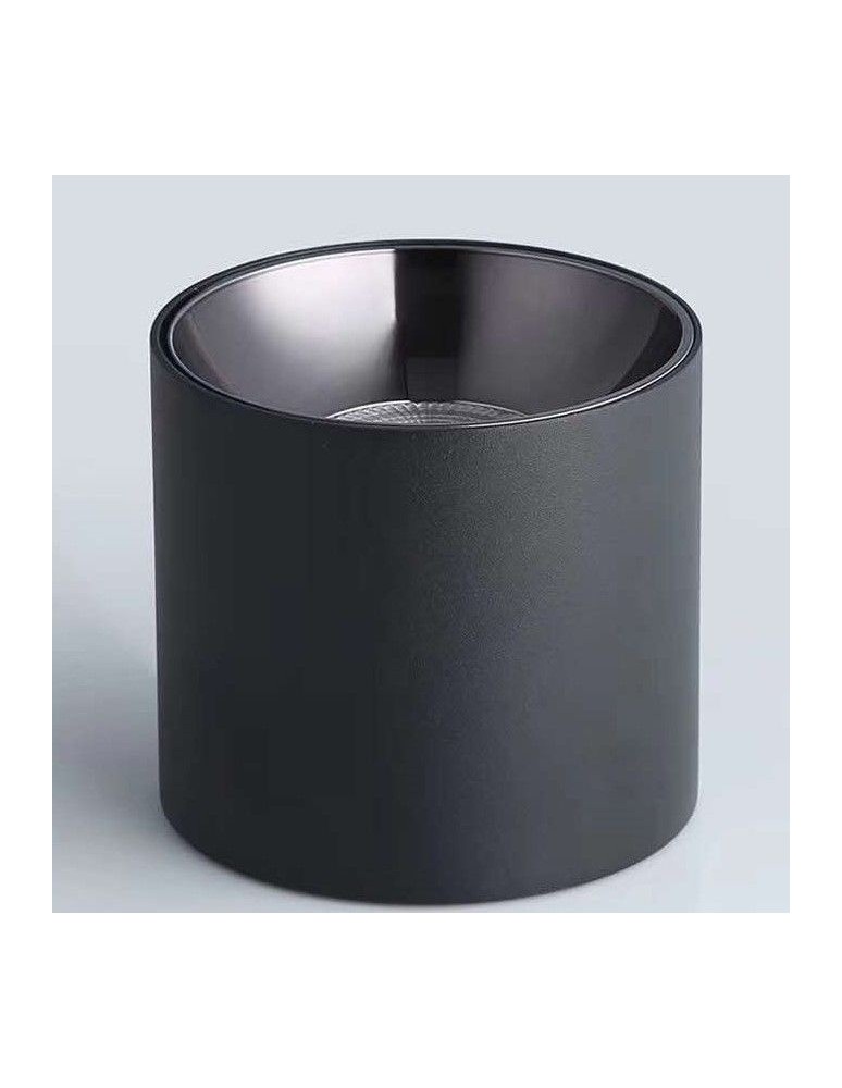 Ceiling downlights - tubes - Abigali Spot Vaiolett 10W WW Black ceiling luminaire - product kolory-swiatla.pl 5