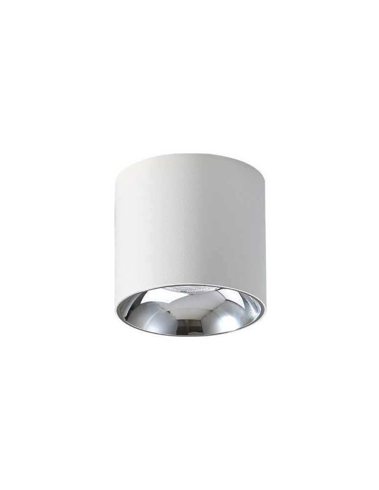 Ceiling downlights - tubes - Abigali Spot Vaiolett 10W WW White ceiling luminaire - product kolory-swiatla.pl 1